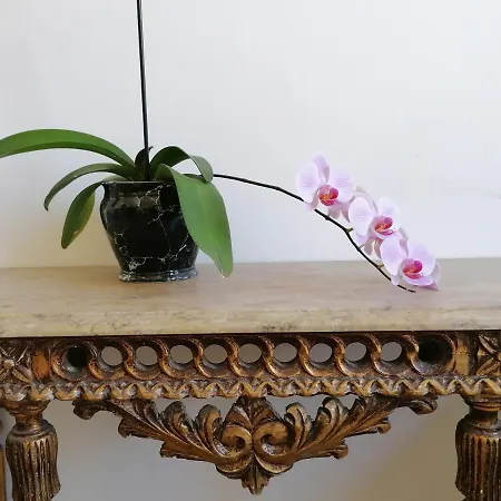 Pensionat Chiado Open World Lisboa